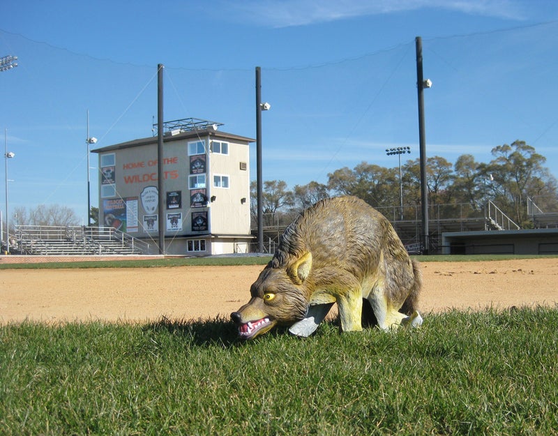 Bird-X 3D Coyote Decoy, Lifelike Predator Replica, Coyote Decoy with Moving Tail and Realistic Markings, Easy to Install, Covers up to 1 Acre of Land, 32"x8"x30" - Image 2